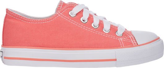 Firefly Canvas Low IV 28 EUR