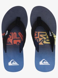 Quiksilver Molokai Layback 40 EUR