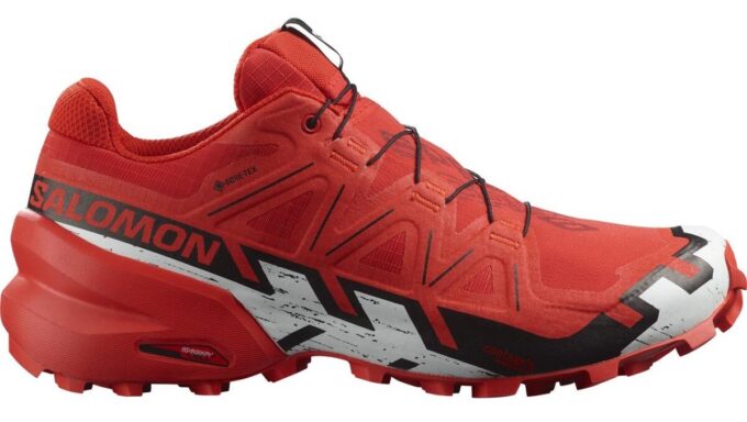 Salomon Speedcross 6 GTX M 42 EUR