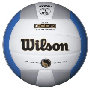 Wilson I-Cor High Performance Volleyball